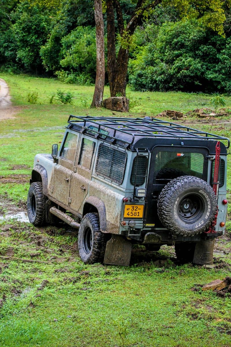 Nature Wildlife Explorer