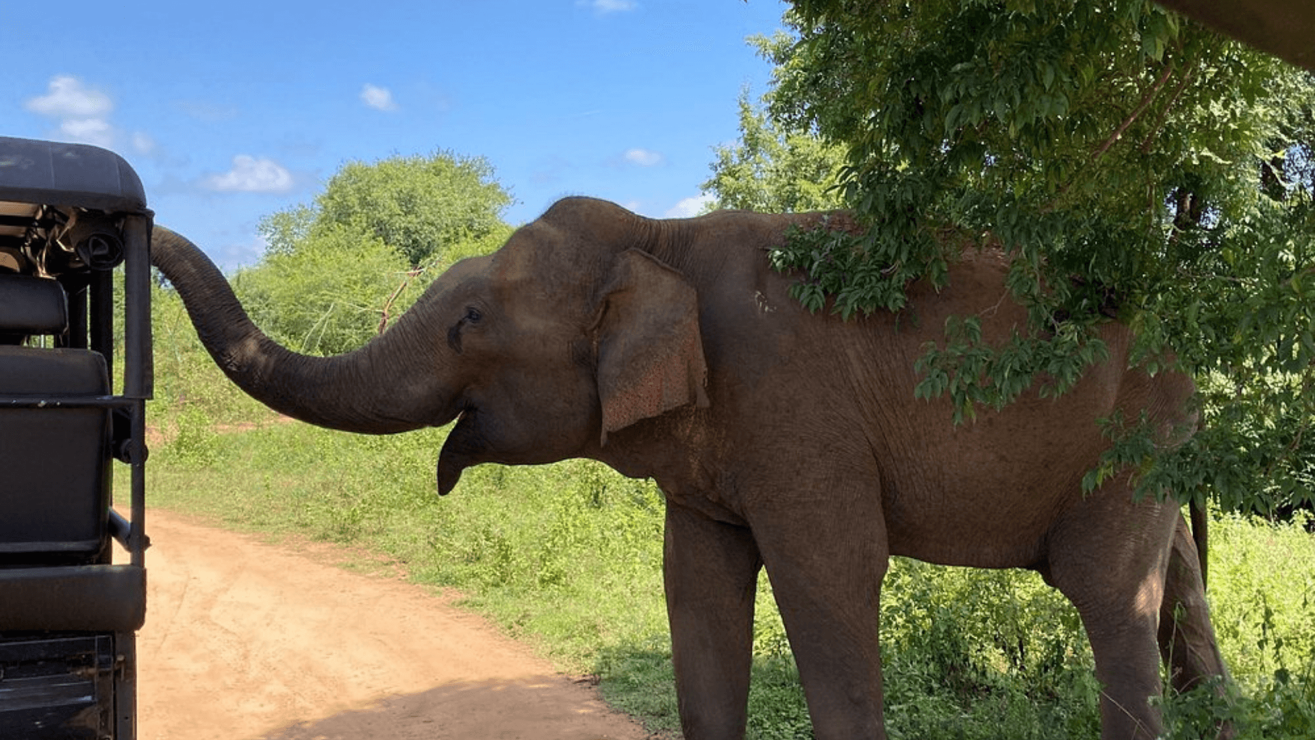 Nature Wildlife Explorer - Sri Lanka Tour Package