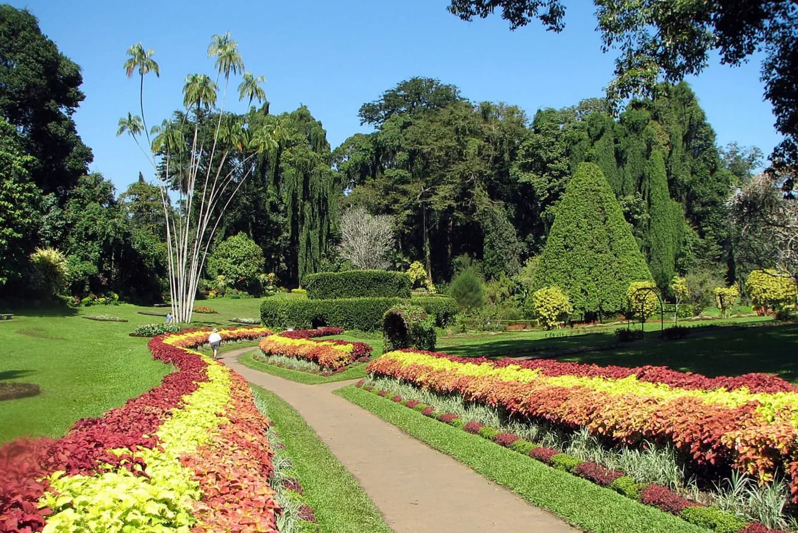 Kandy day tour - Expert Guided Day Tour in Kandy City, Temple of the Sacred Tooth Relic, Royal Botanical Gardens Peradeniya, Kandy Lake, Tea Factory, Spice Garden, Kandy View Point - Image 3