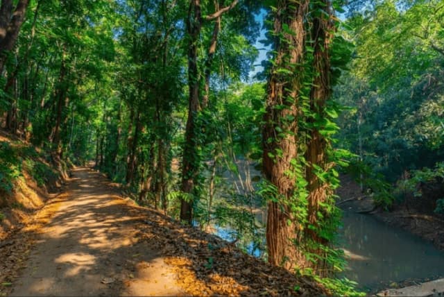 Explore Kandy