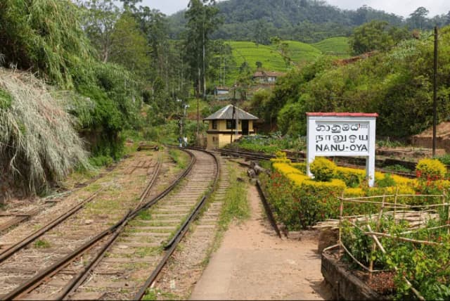 Nuwara Eliya to Ella Train Journey