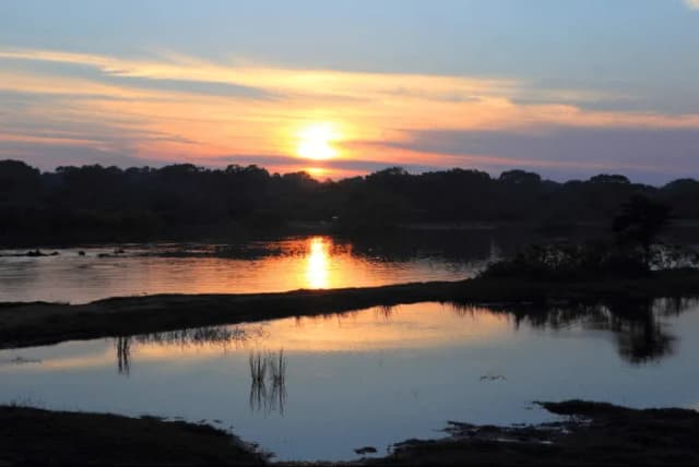 Yala National Park Safari