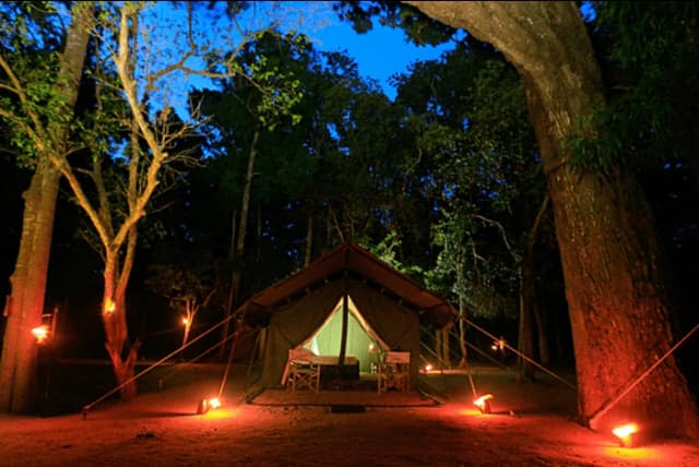 Wilpattu National Park Safari