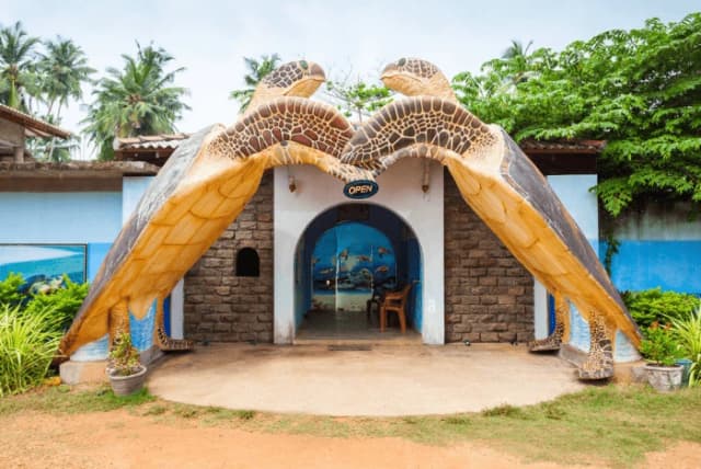 Explore Galle