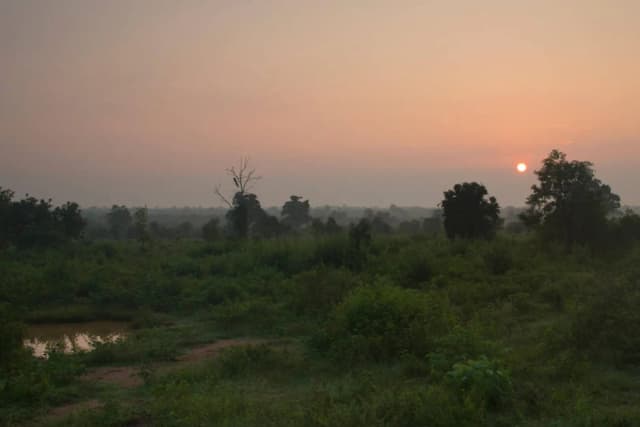 Ella to Udawalawa